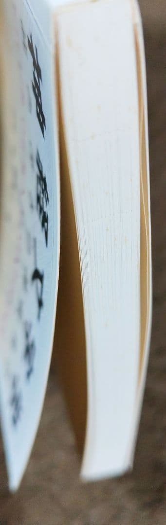 神経文字学 読み書きの神経科学