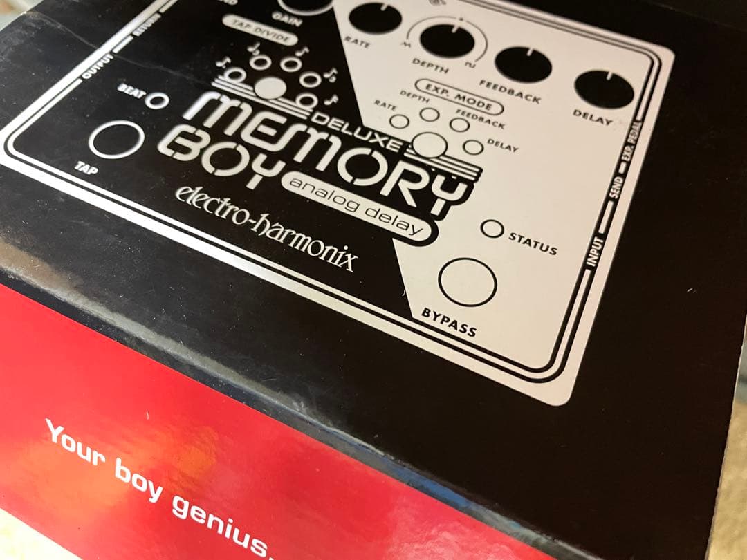 Electro-Harmonix Deluxe MemoryBoyアナログ