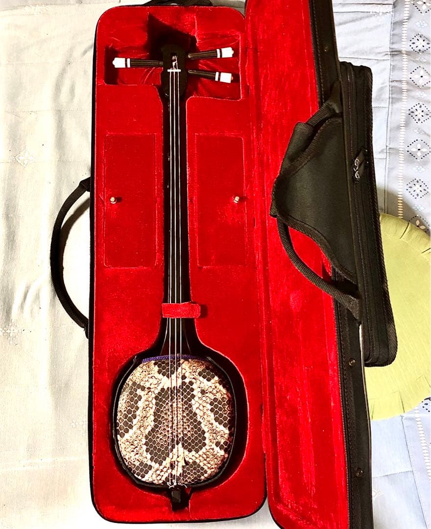 【美品】初心者向け三線本体、ハードケース付き（ハードケース金具一部にサビあり）