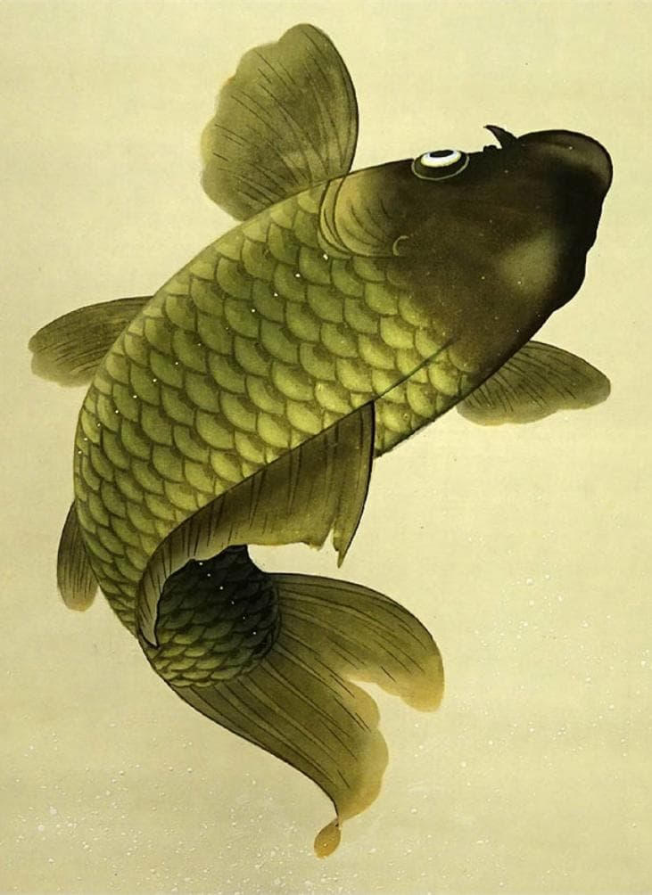 掛軸 坂本宗春『跳ね鯉図』日本画 絹本 肉筆 共箱付 掛け軸 s011425