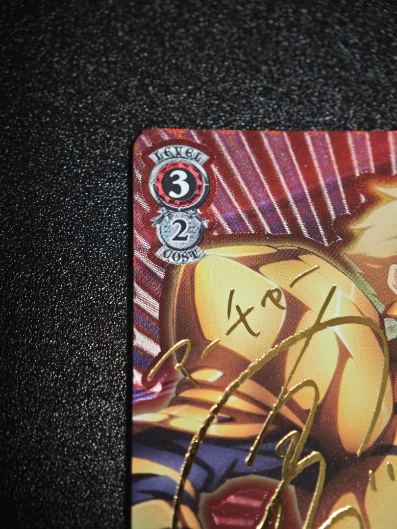 万象の王 アーチャー　SP ヴァイスシュバルツ　サイン　fate フェイト