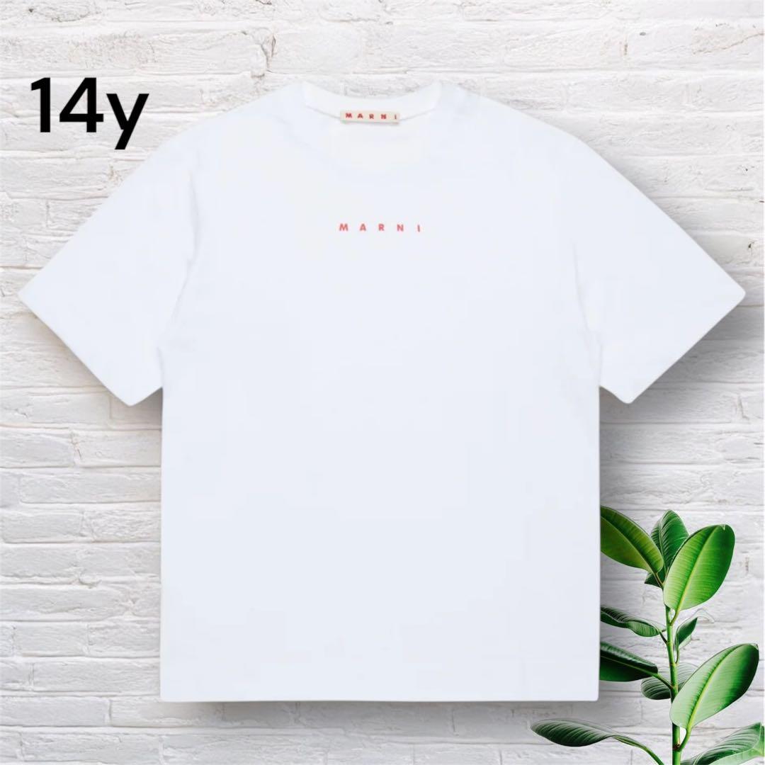 新品未使用MARNI キッズ 2025SS ロゴ Tシャツ 大人もOK！