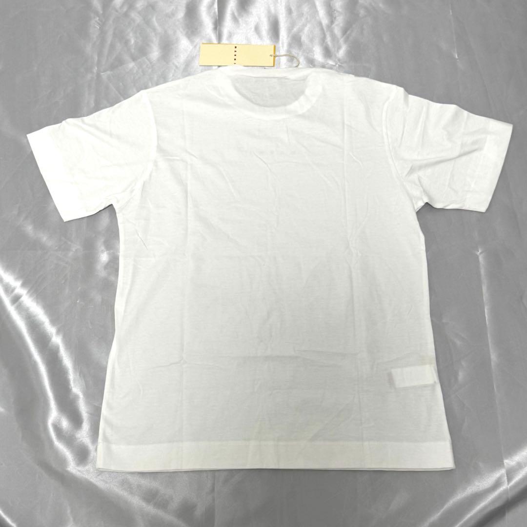 新品未使用MARNI キッズ 2025SS ロゴ Tシャツ 大人もOK！