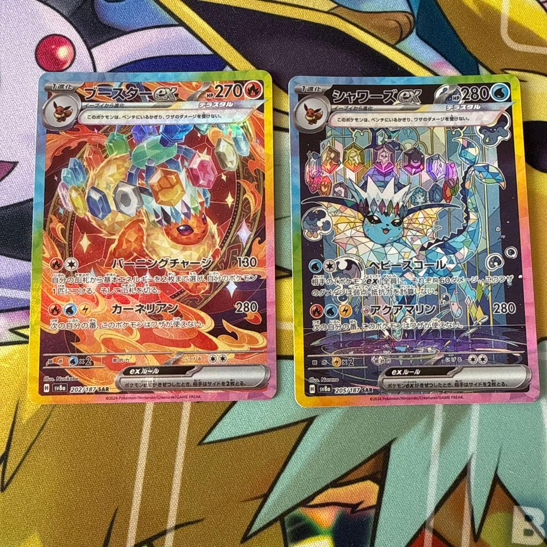 テラスタルフェス まとめ売り ブイズコンプ