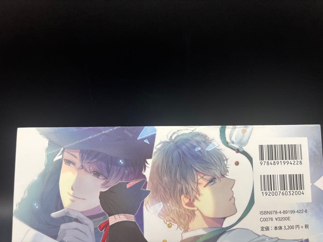 大正×対称アリス　ビジュアルファンブック