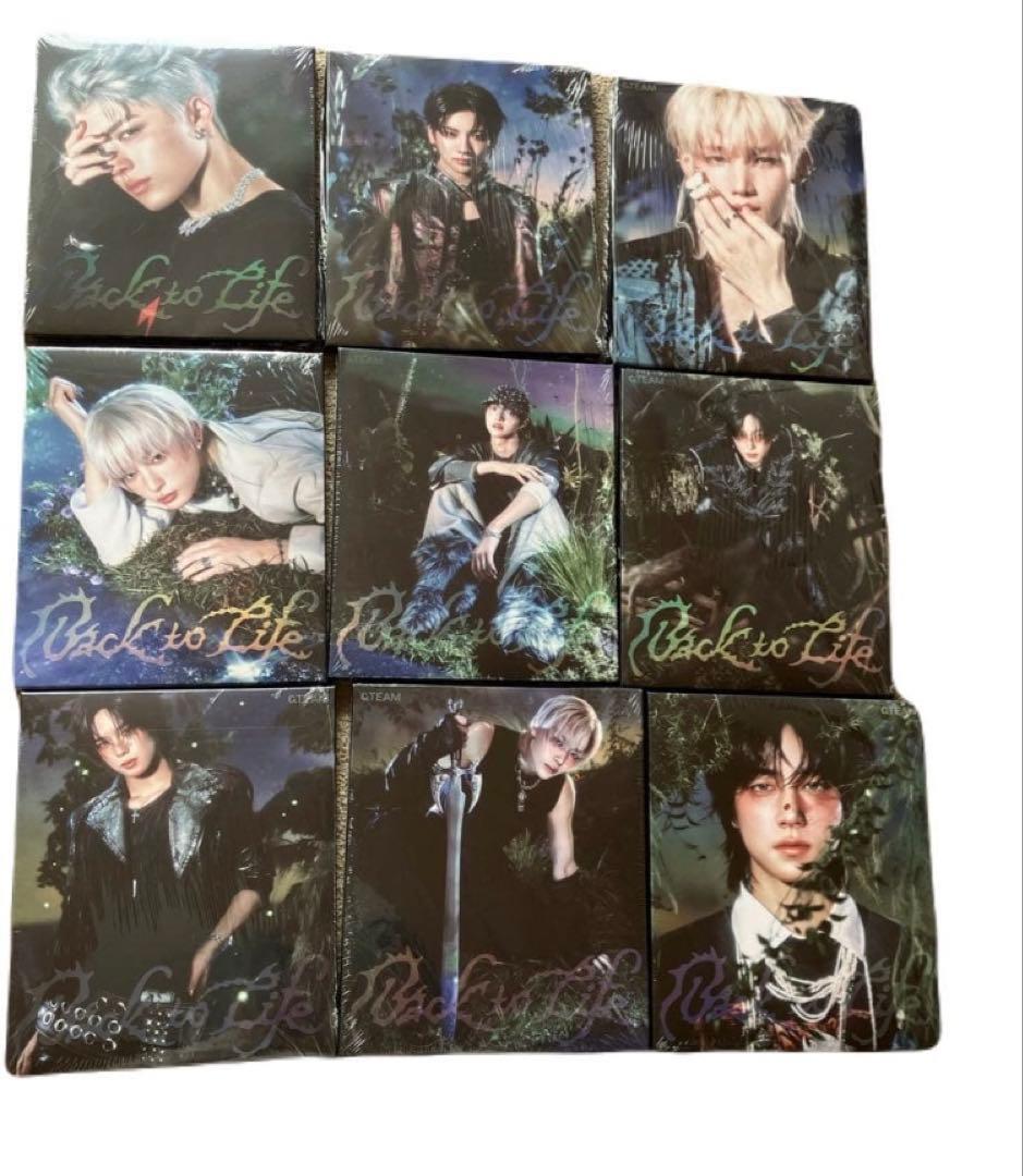 &TEAM Back to Life（ROAR ver．9形態セット)