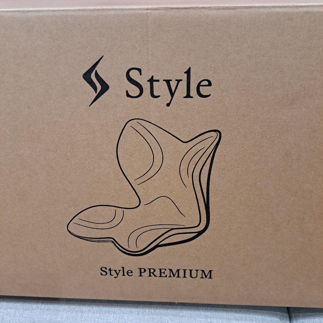 Style PREMIUM　姿勢矯正　クッション