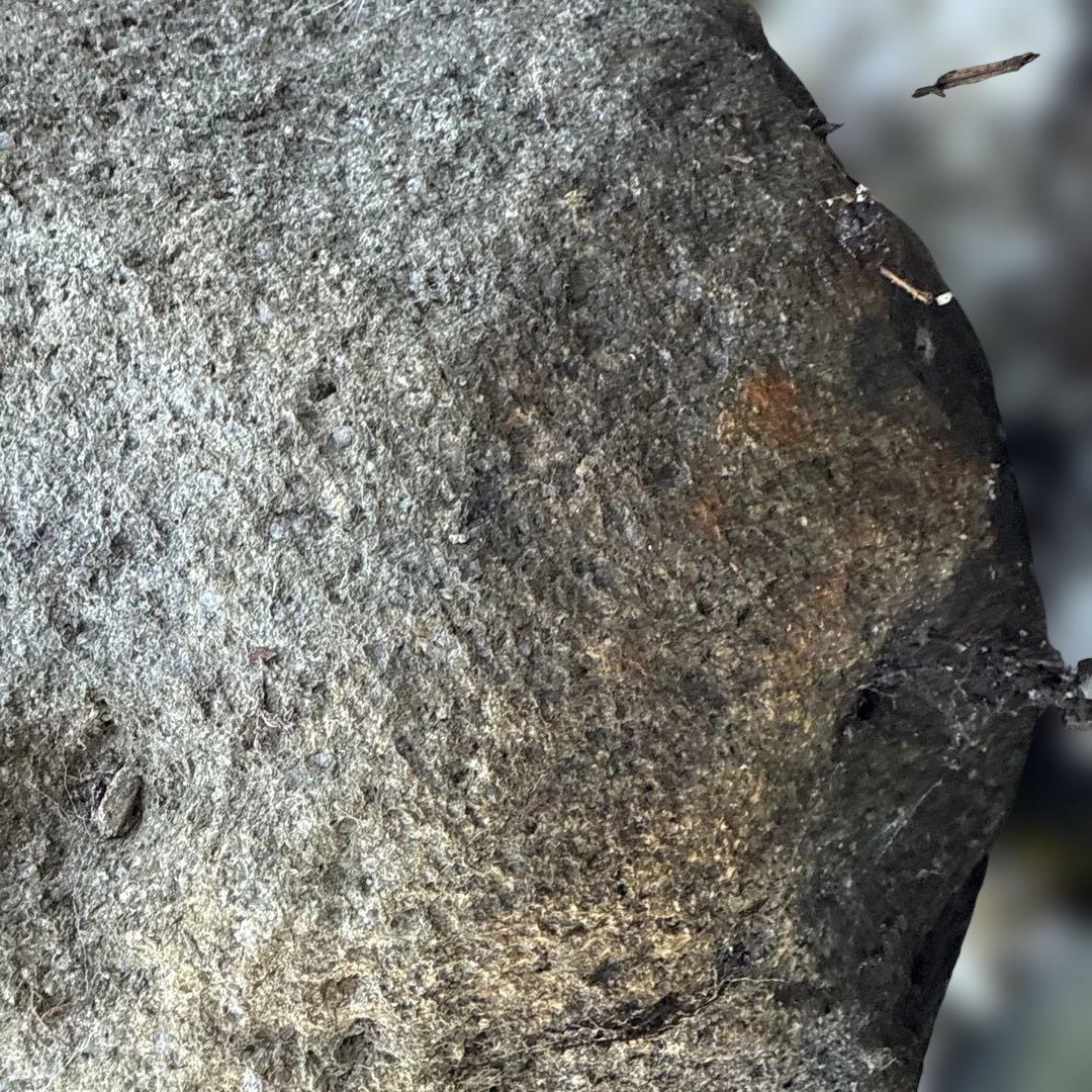 石製 円形水鉢　つくばい【たのメル便】