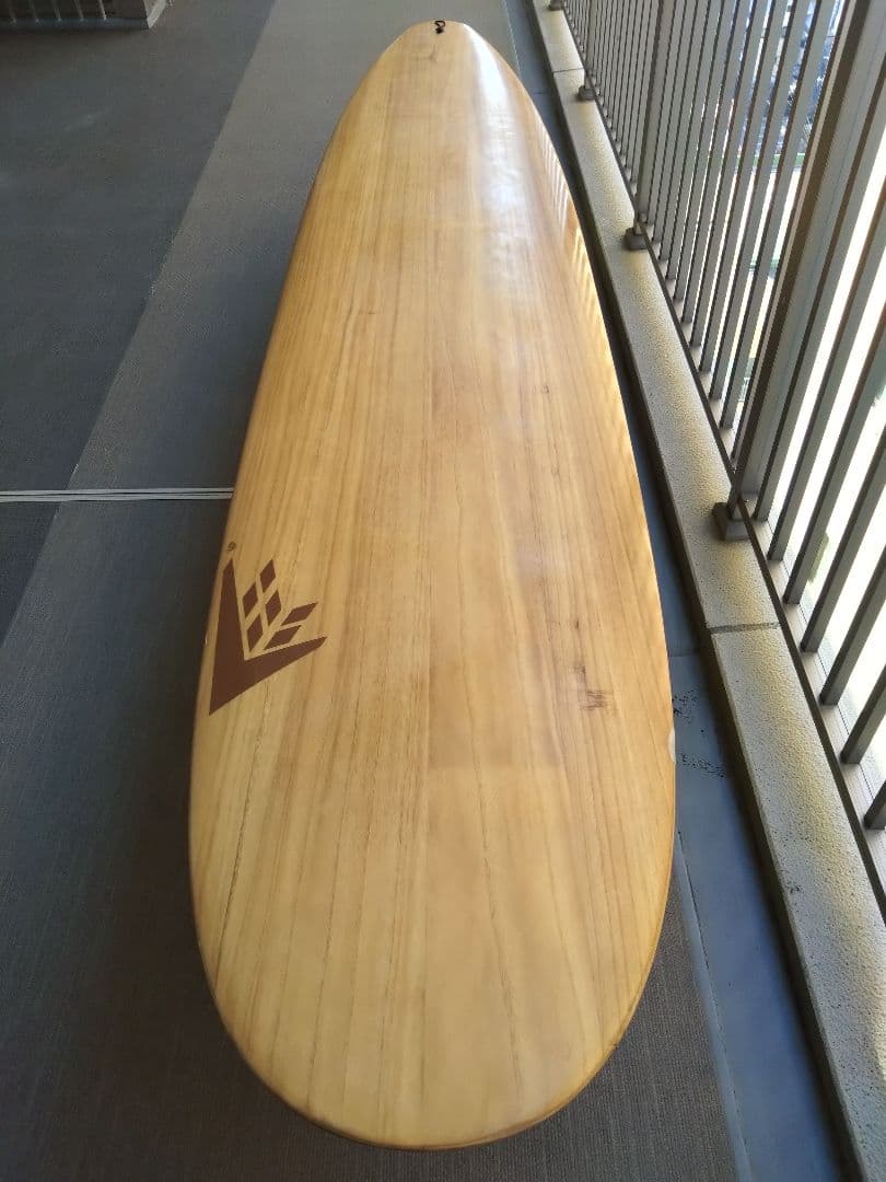 FIREWIRE the GEM 9'5\