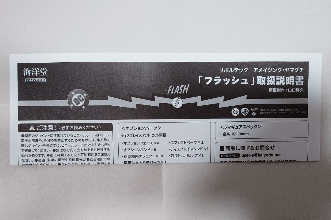 アメイジング・ヤマグチ フラッシュ 予約特典付き