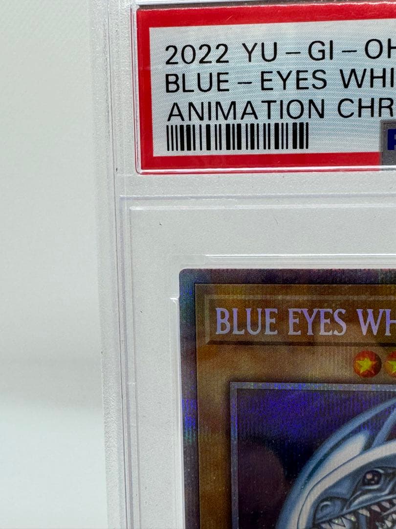 #81 ［完美品］PSA10 ブルーアイズホワイトドラゴン　英語　5つ目