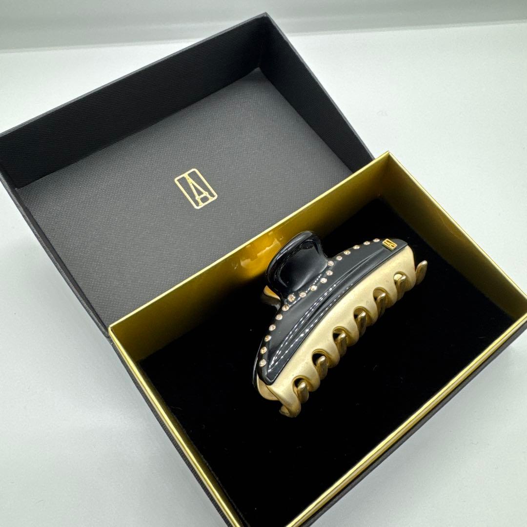 ALEXANDRE DE PARIS ヘアクリップ 黒