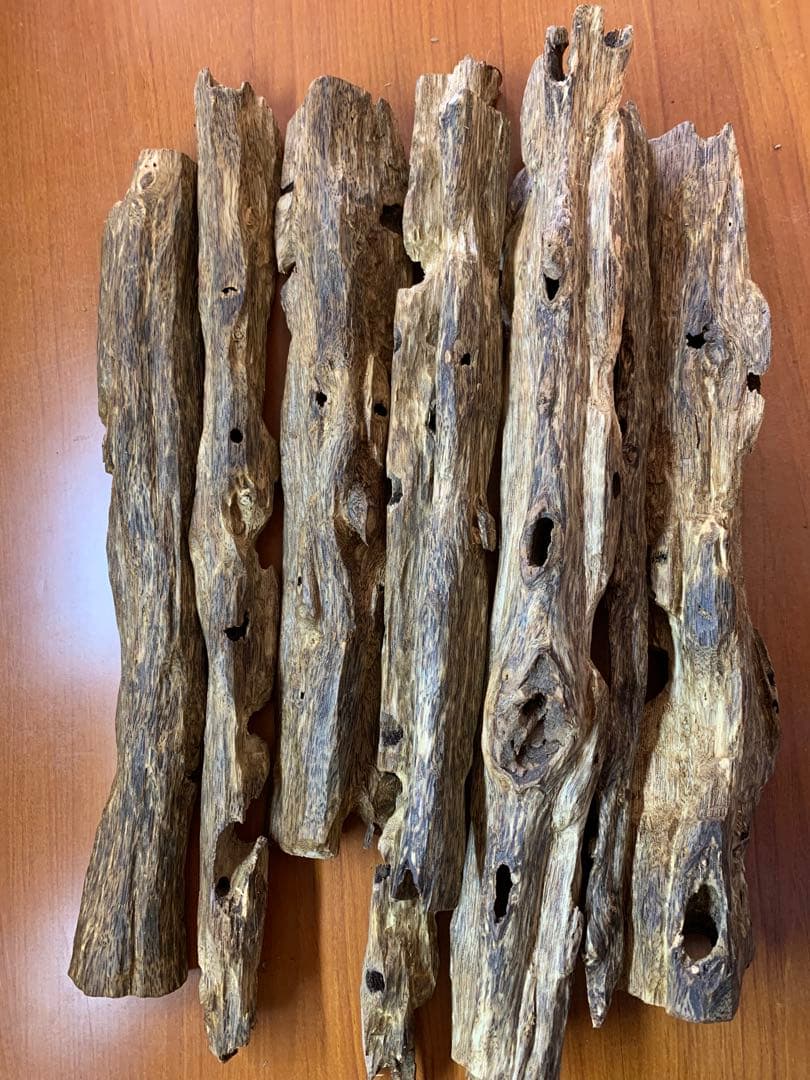 極上緑油伽羅 沈香原木 香木 重さ:1000g