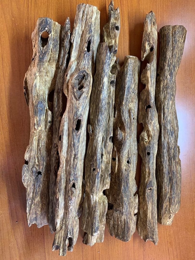 極上緑油伽羅 沈香原木 香木 重さ:1000g