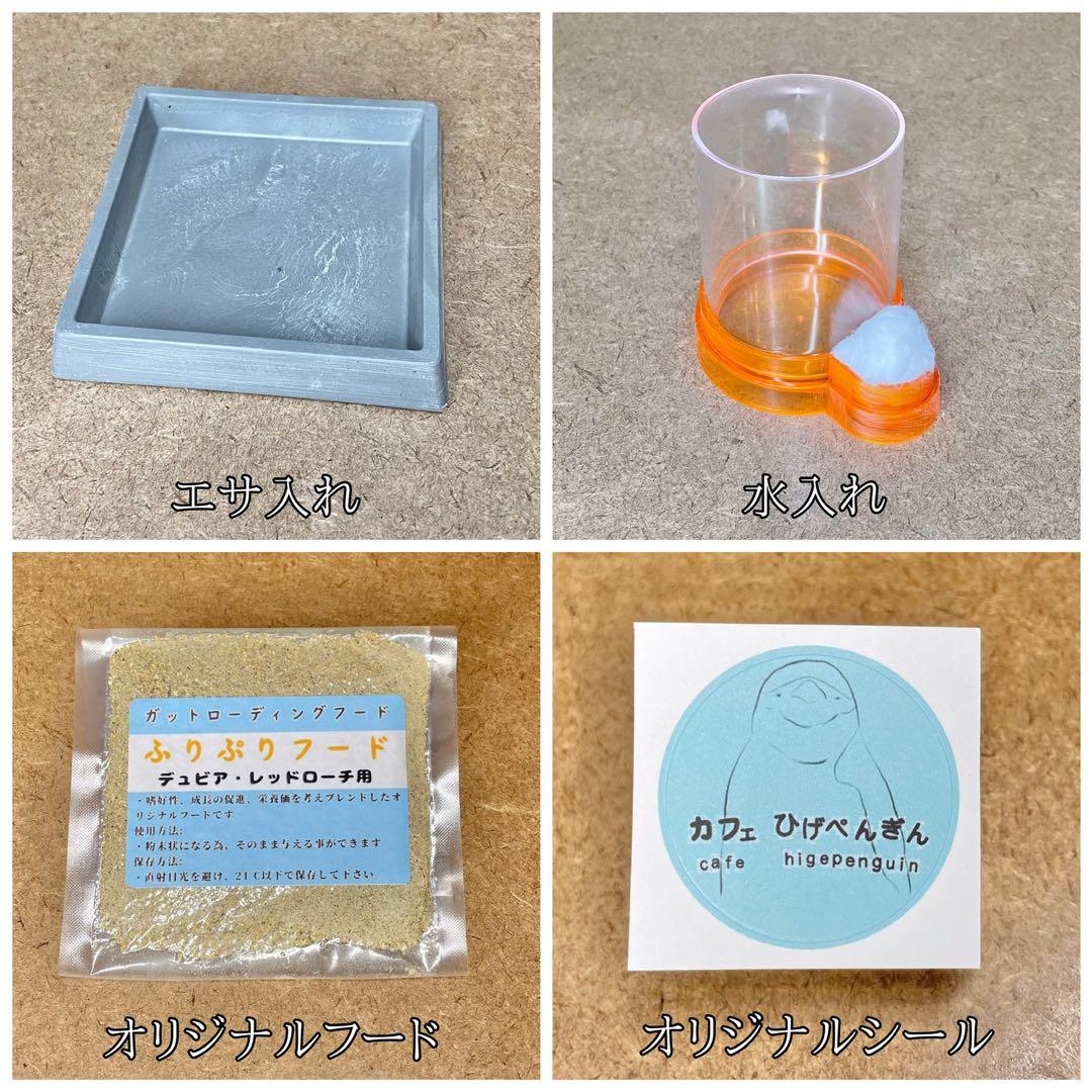 たまねぎにんじん様　S(フル)