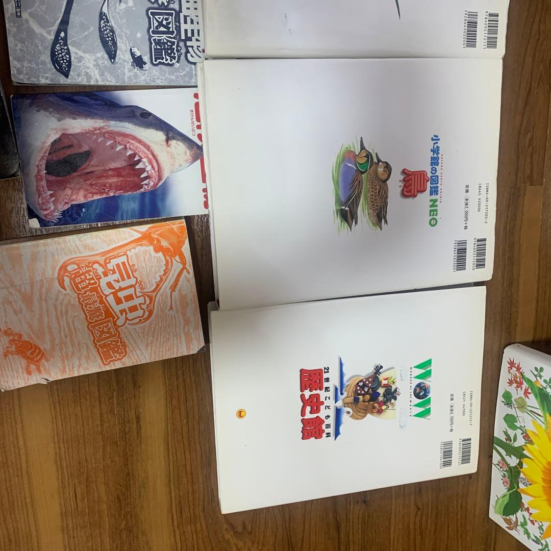 小学館図鑑NEO  セットレア‼️