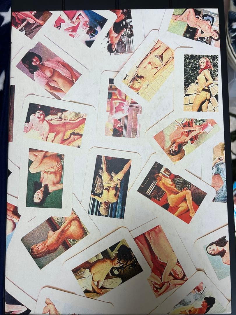 セディショナリーズ写真集undercoverAFFA オマケ付きアンダーカバー