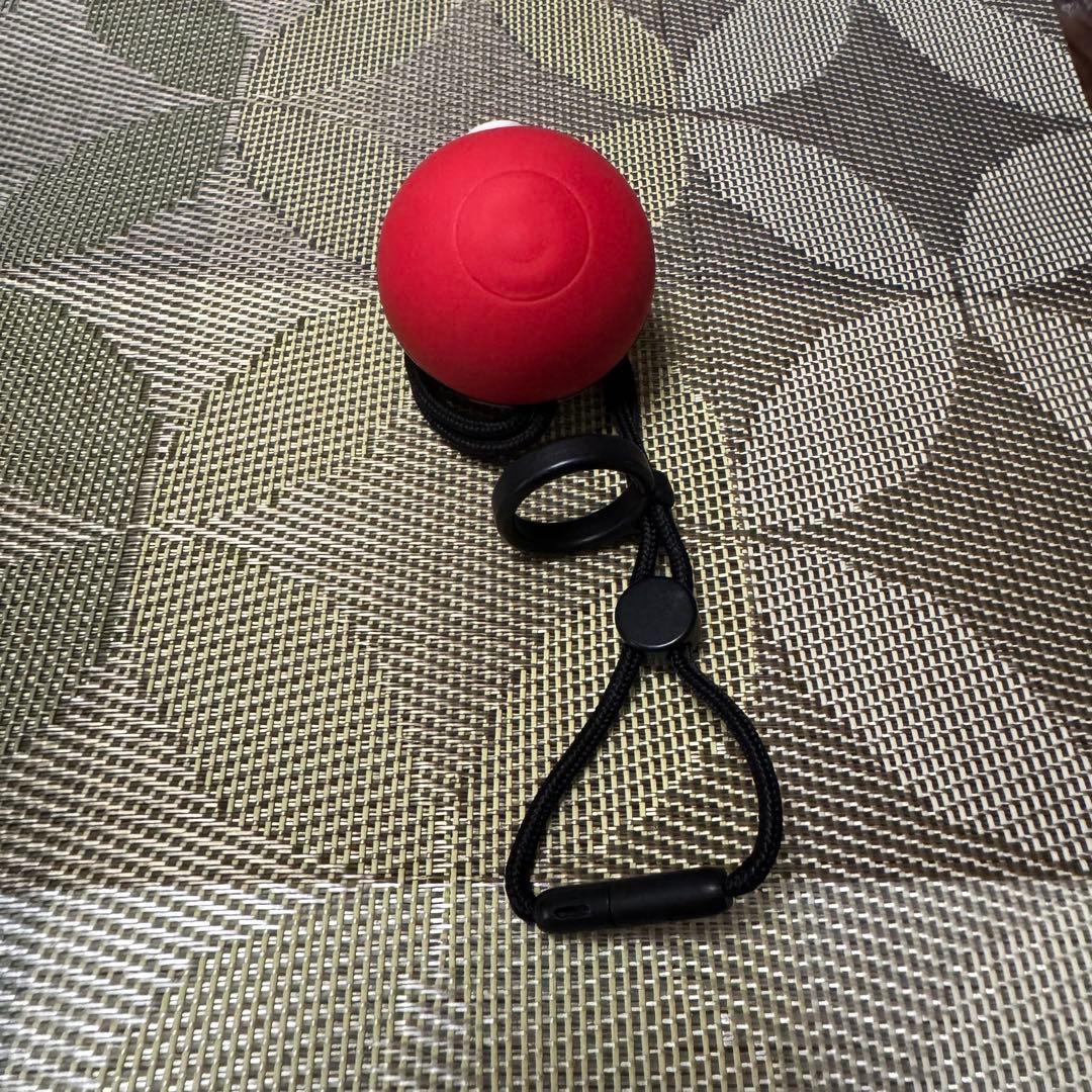 モンスターボールプラス　モンボプラス動作確認済み　ミュウ入り