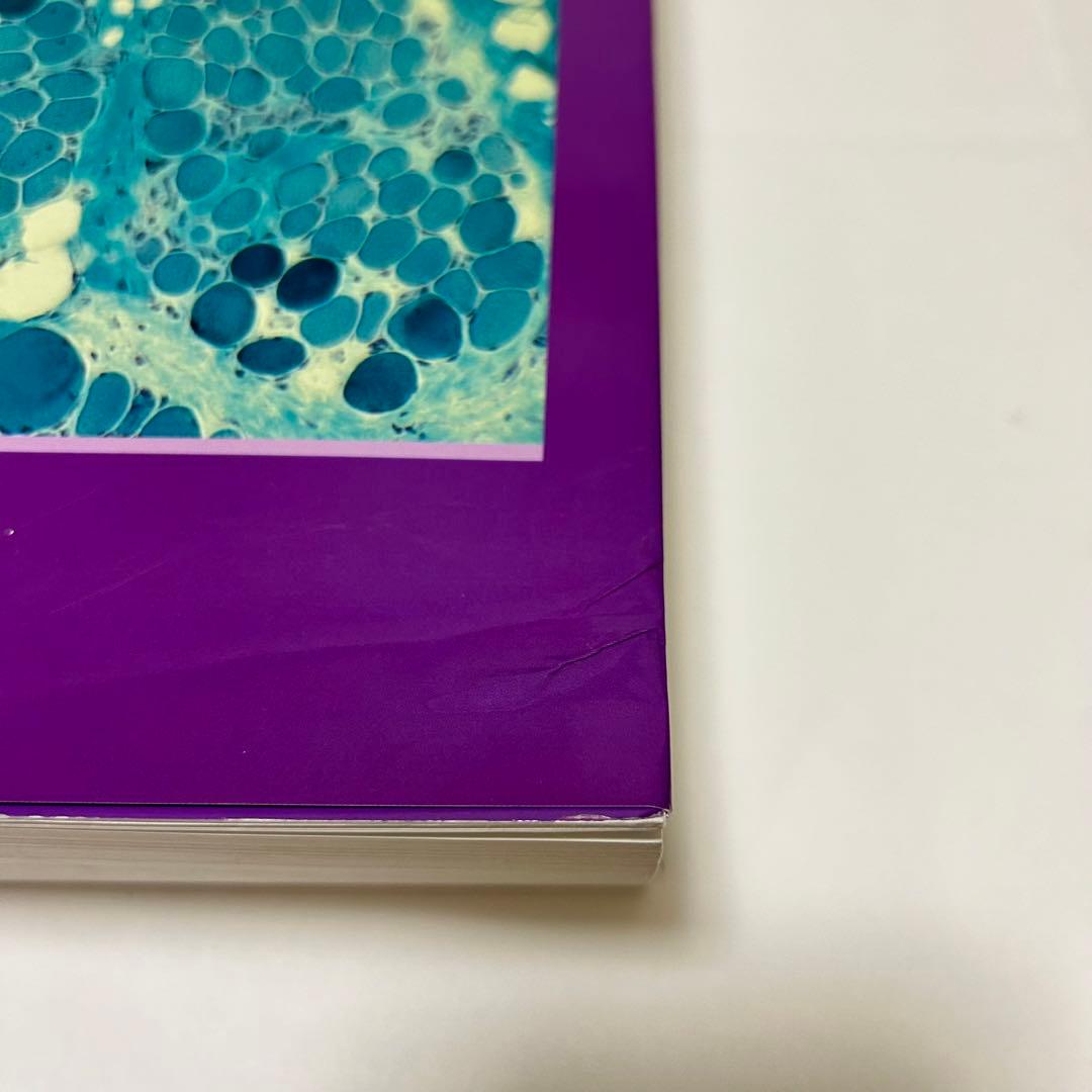 カラー ルービン病理学 臨床医学への基盤