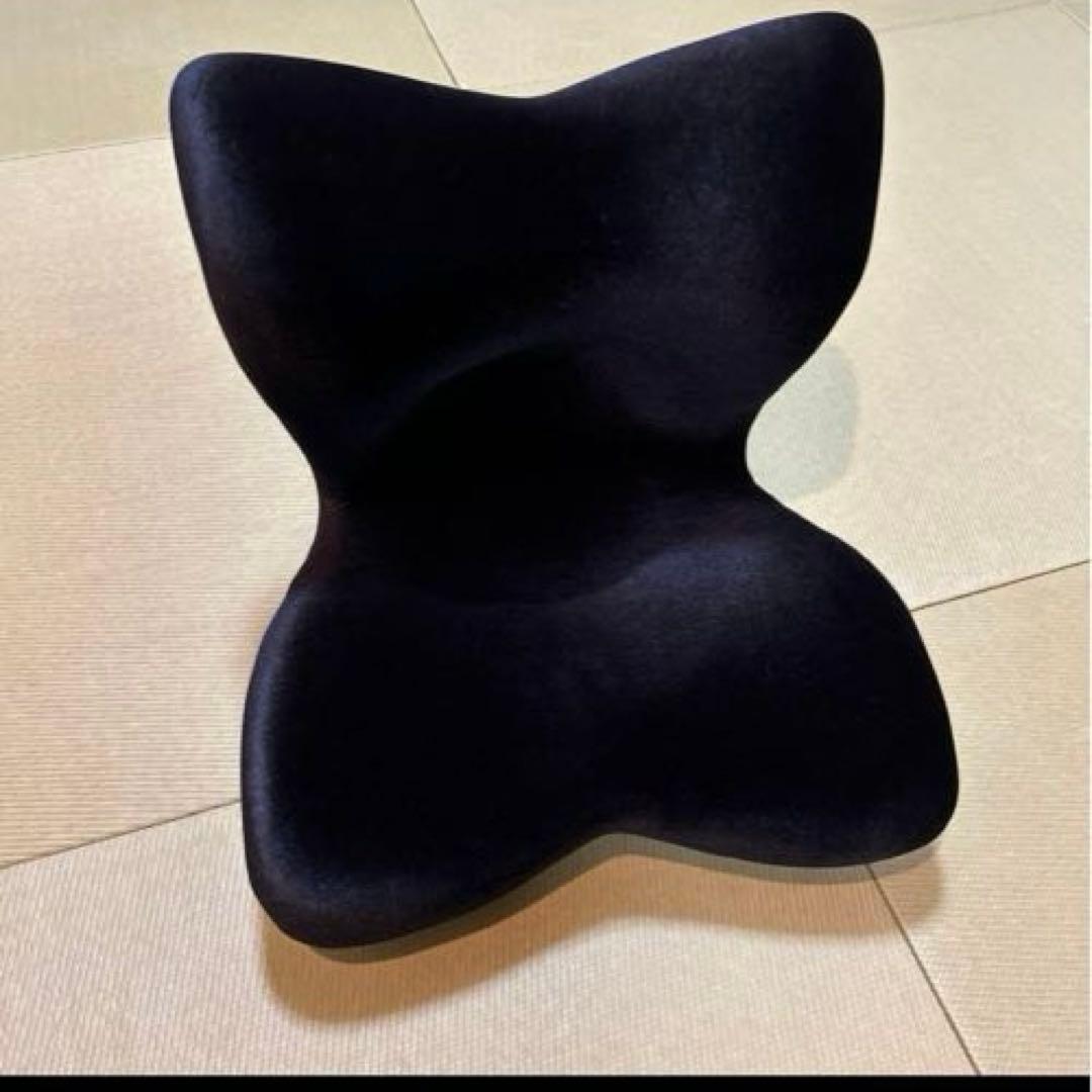 Style PREMIUM DX 骨盤・姿勢矯正クッション