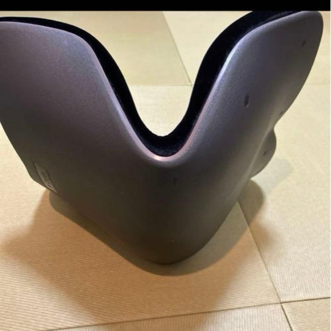 Style PREMIUM DX 骨盤・姿勢矯正クッション