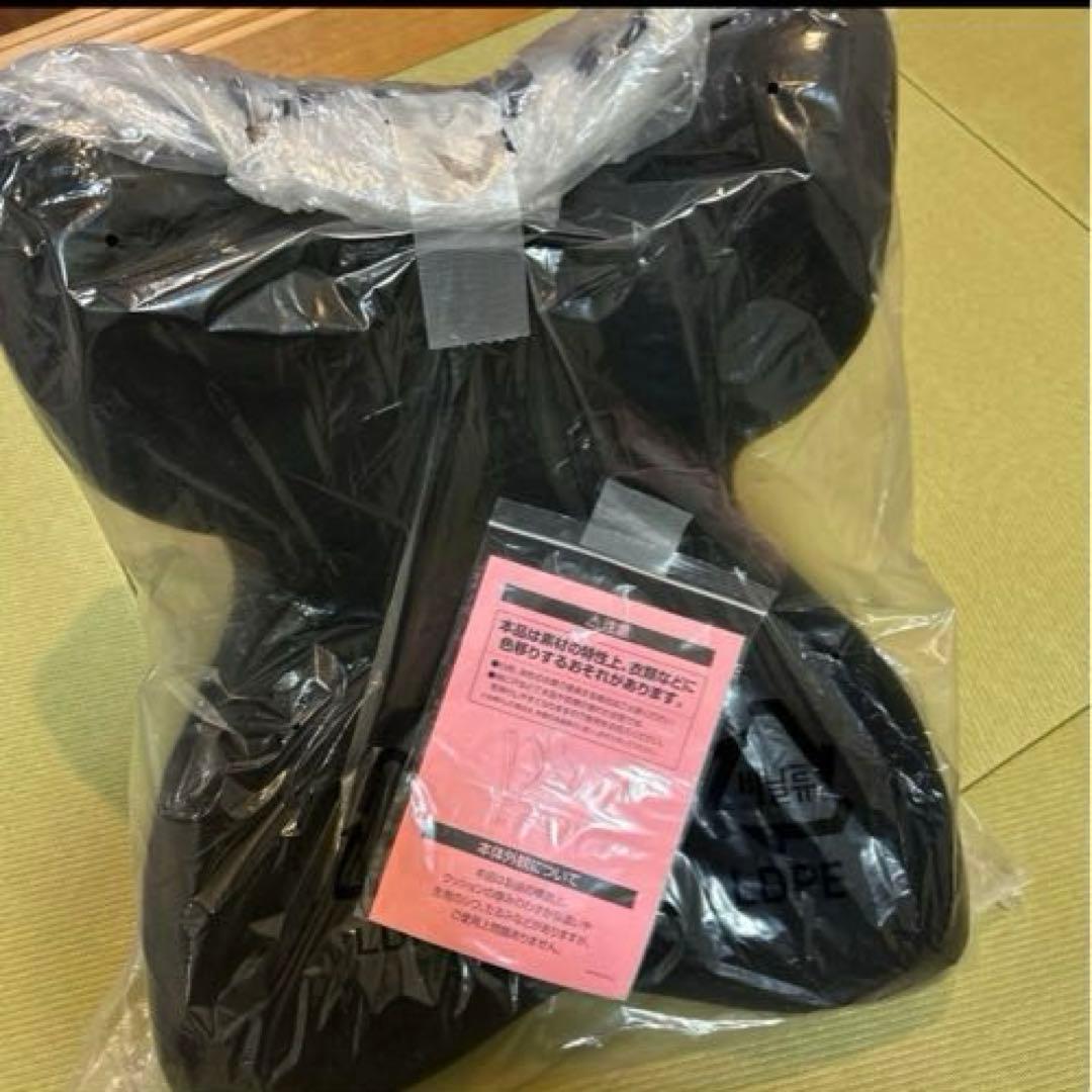 Style PREMIUM DX 骨盤・姿勢矯正クッション