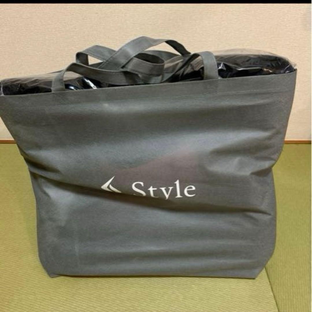 Style PREMIUM DX 骨盤・姿勢矯正クッション