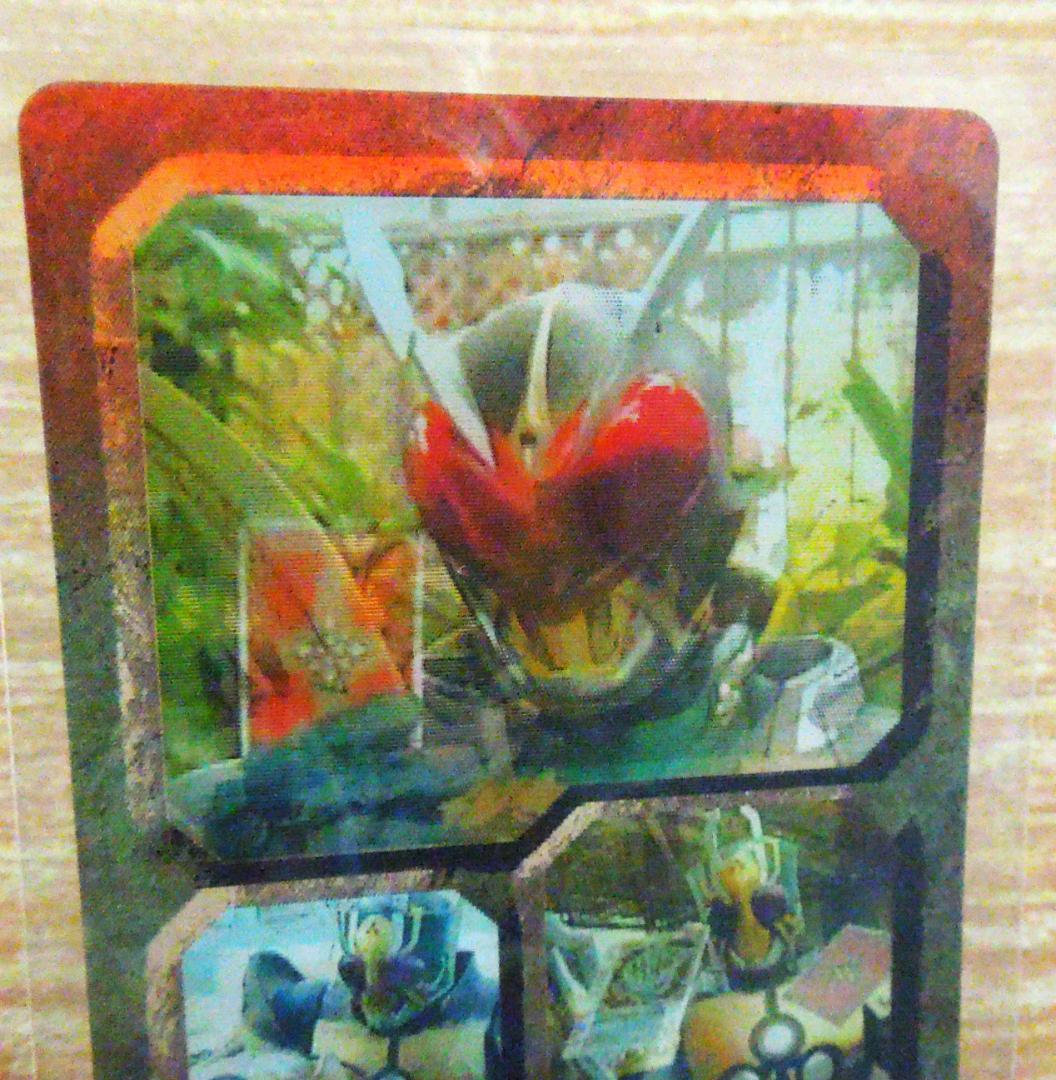 仮面ライダー　森永　プロモカード　仮面ライダーの歴史　２００４年