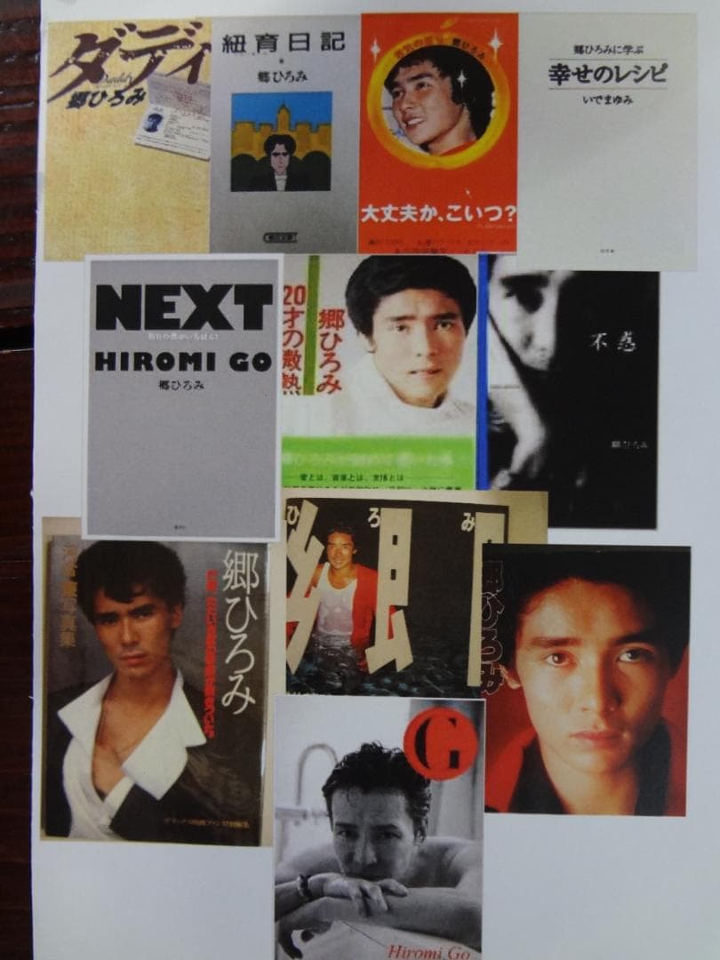 郷ひろみ　写真集・フォトアルバム・エッセイ・パンフ　２０点 セット