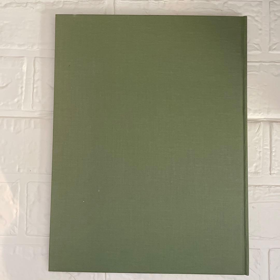 【希少本】テリ・ワイフェンバック 写真集 「The May Sun」 サイン入り