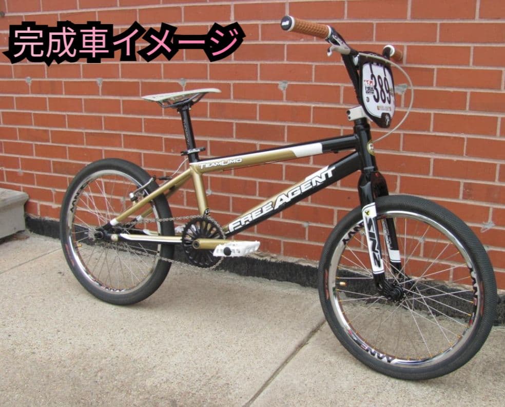 FREE AGENT TEAM LIMO BMXフレーム　カーボンフォークセット