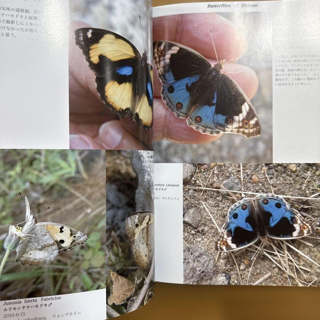 ブータンの蝶類 : Butterflies of Bhutan