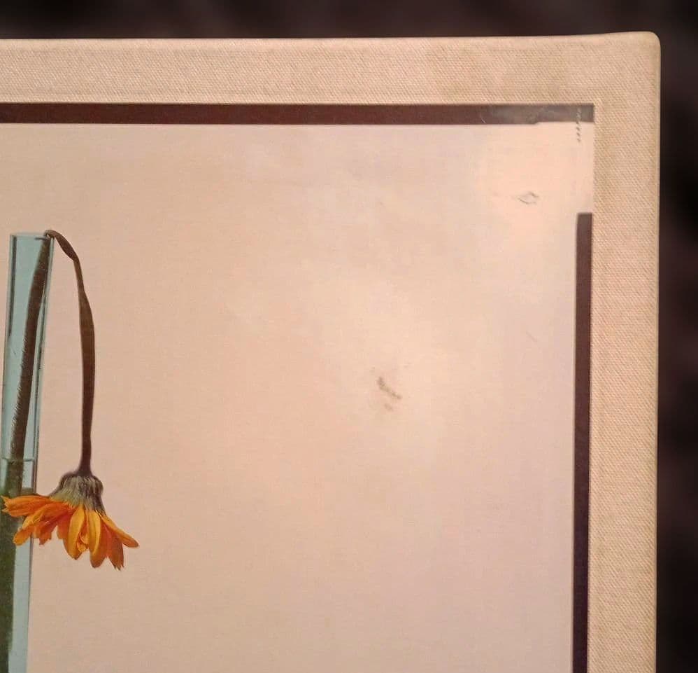 上田義彦写真集「Flowers」 伊藤俊治 光琳社 1997年初版