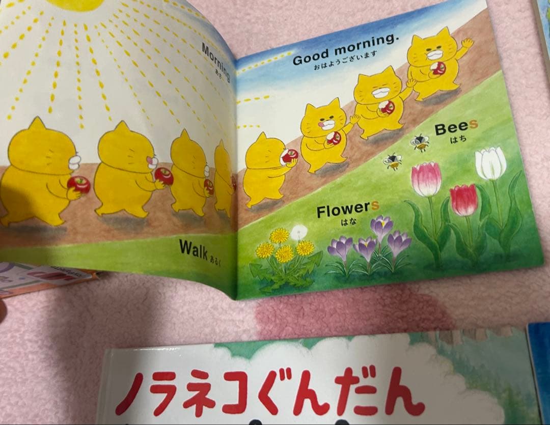 ノラネコぐんだん 絵本　かるた　よみもの　英語　12点