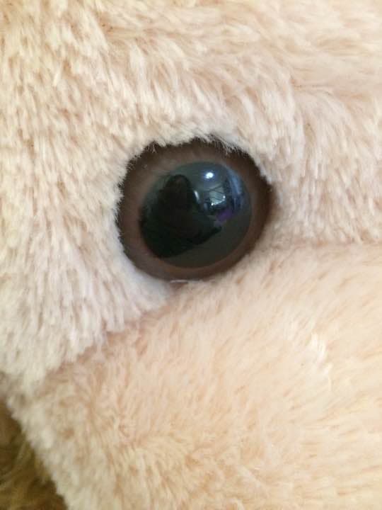 【最終値下げ】希少☆ダッフィー旧Ｌサイズ(LLサイズ)