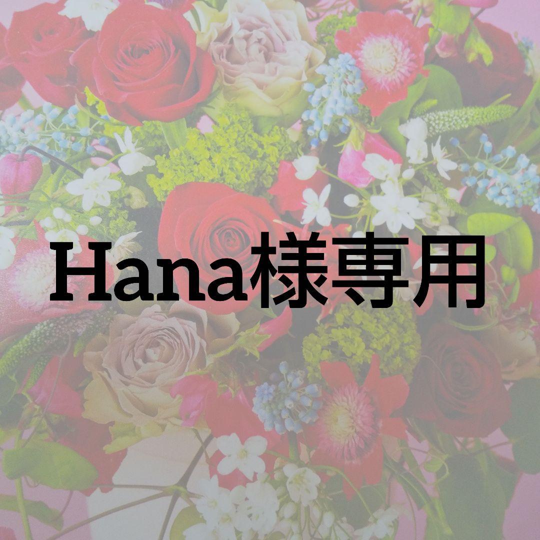 Hana様まとめセット①