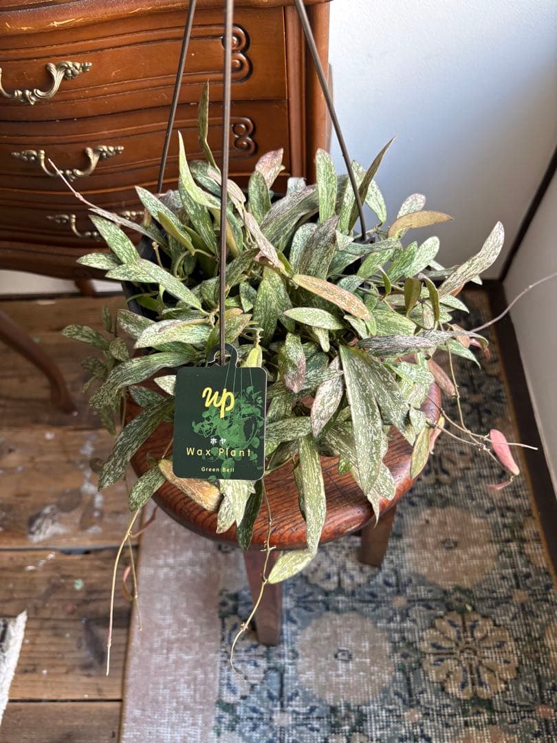 さちママ 2点同梱