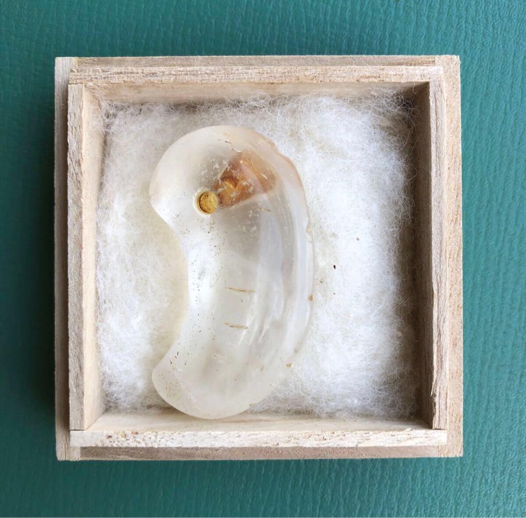 勾玉　（g）　箱付き