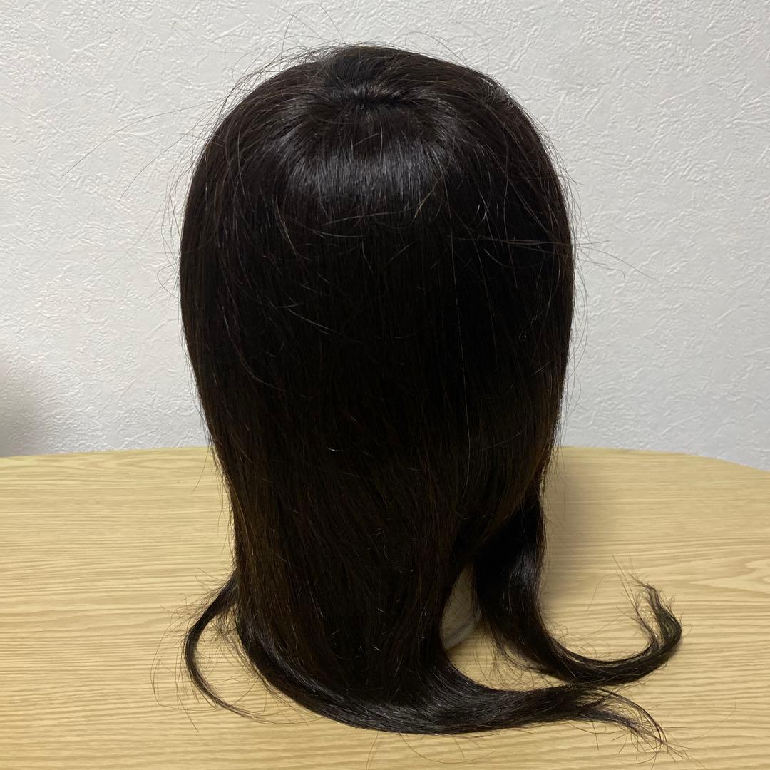 カットウィッグ3体セット　iP500　iP300　iP200s