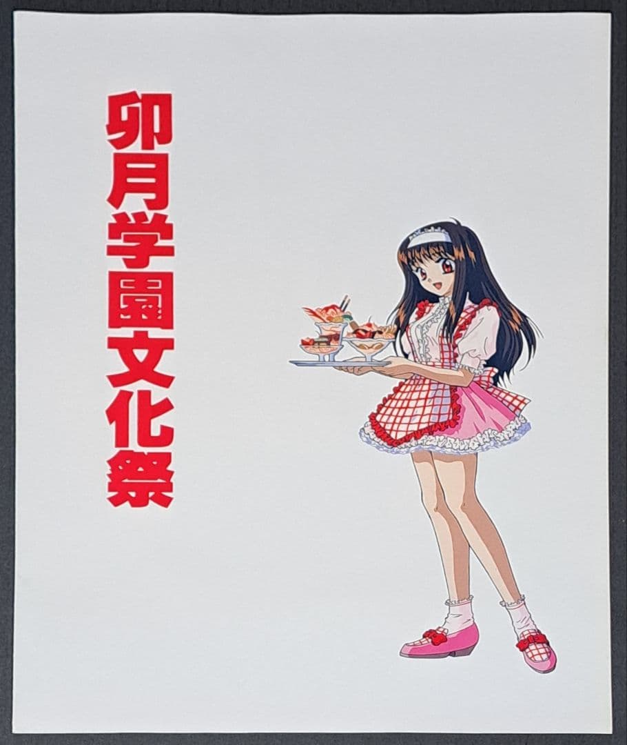 下級生　卯月学園文化祭 パンフレット&チラシセット　非売品　レア