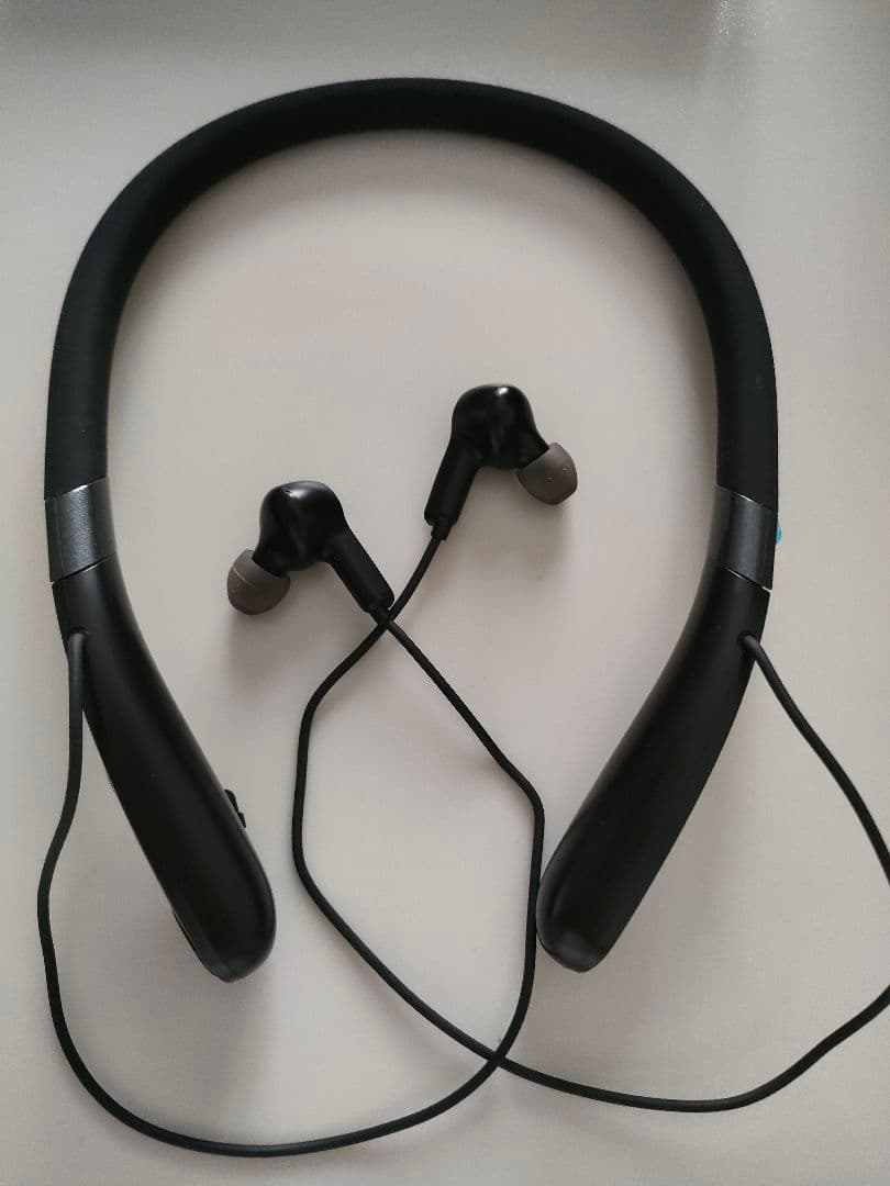 集音器 首かけ集音器 充電式 音量調節 電話/音楽対応