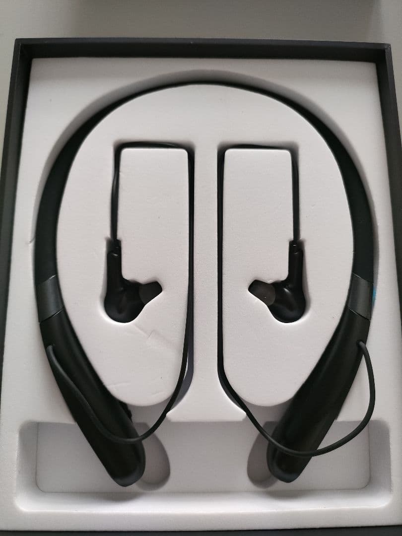 集音器 首かけ集音器 充電式 音量調節 電話/音楽対応