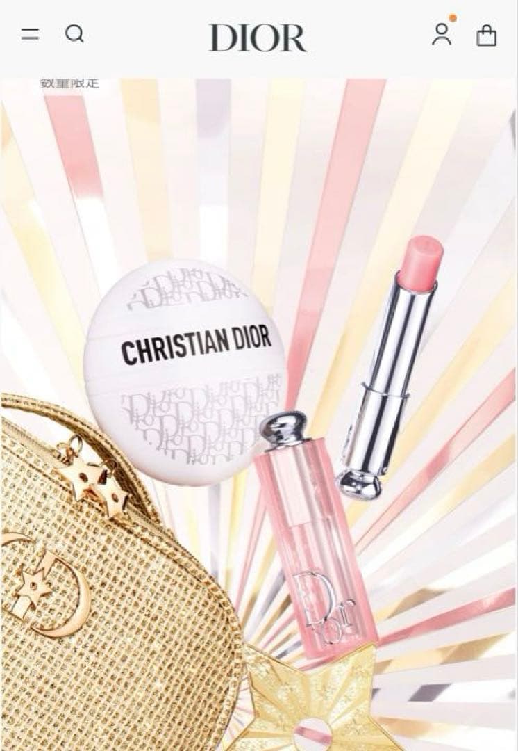 Dior ディオール ホリデー限定 クリスマス 2025 新品未使用リボン等追加