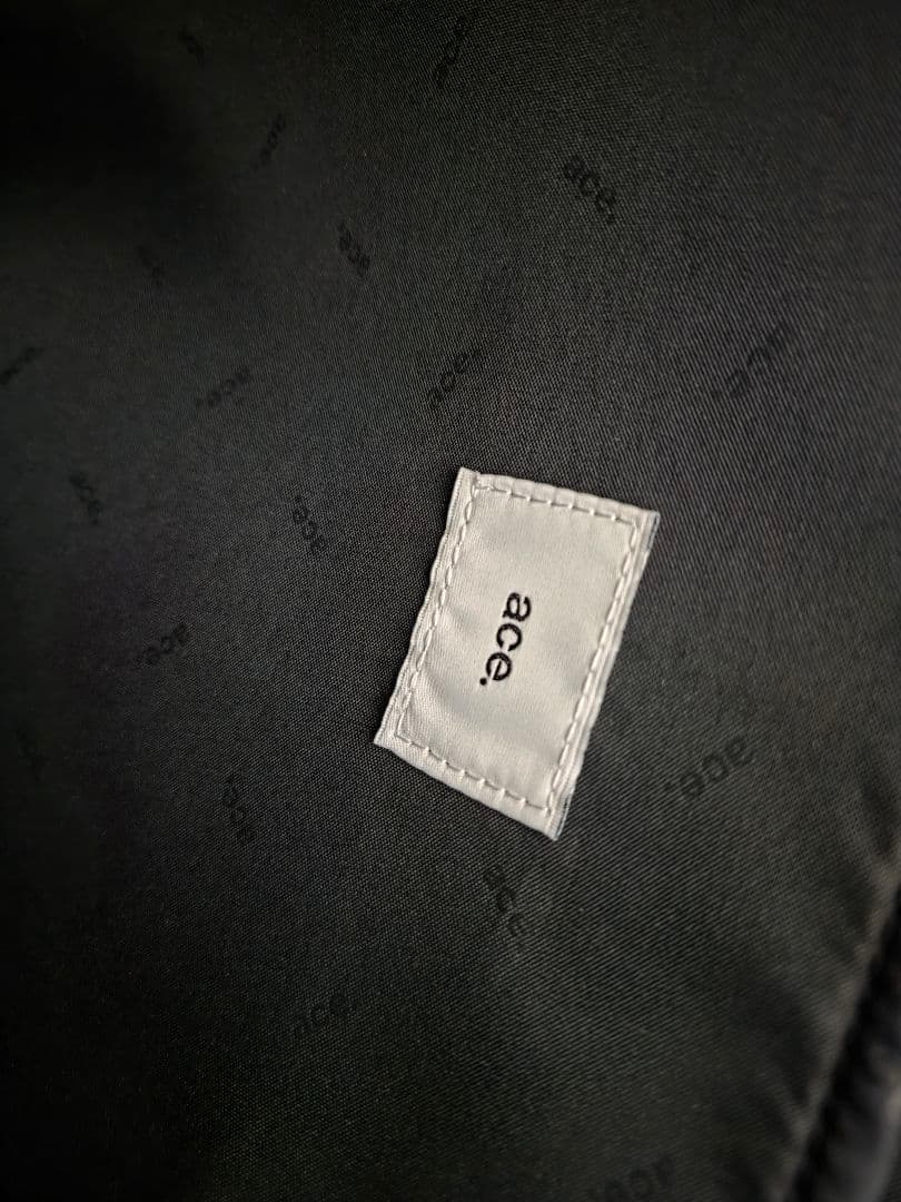 エースジーン ラグマスター バックパック 20L ace. GENE