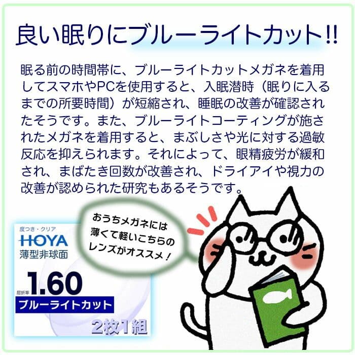 POLICE ボストン型メガネ グレー ケース付き