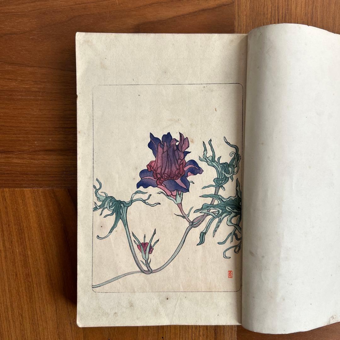 朝顔図説と培養法　変化朝顔