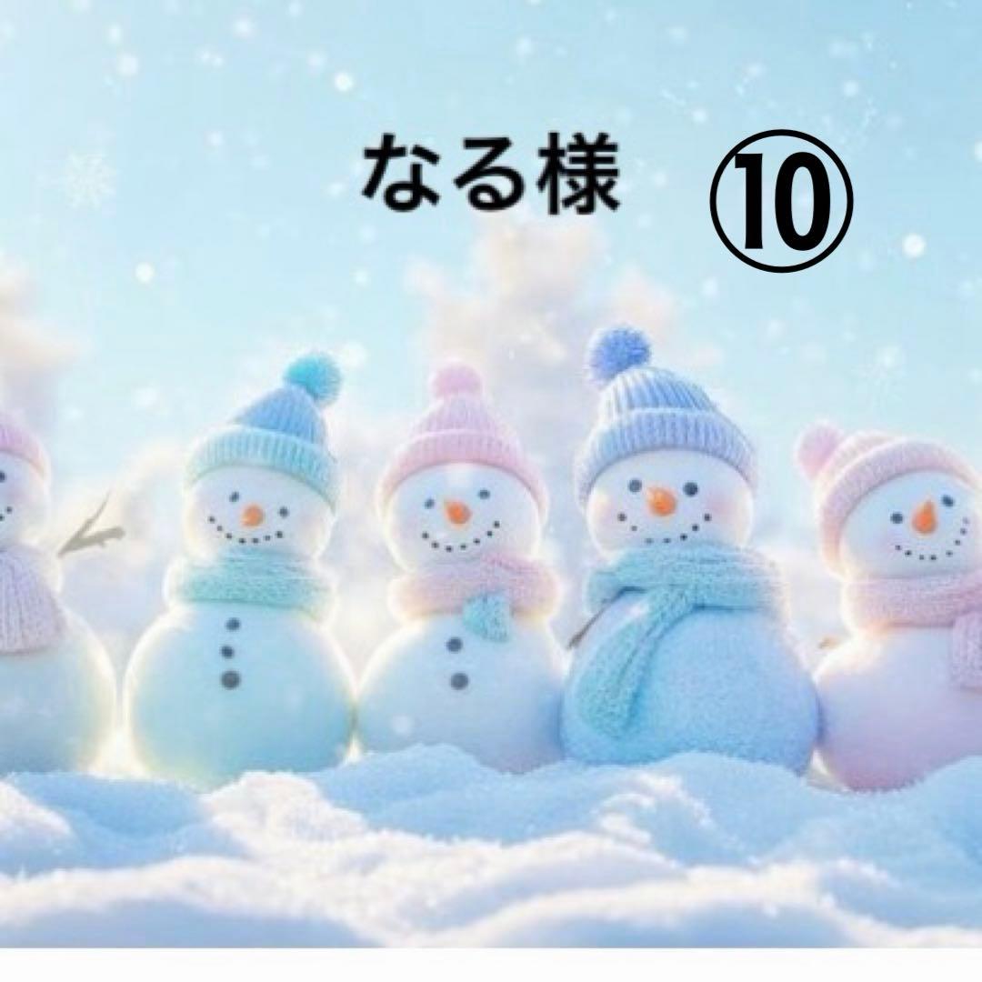 ⑩なる様ポケットティッシュケース