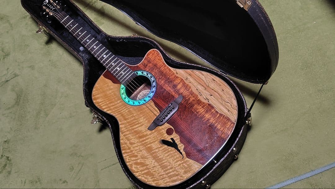ギター LUNA GUITARS VISTA EAGLE