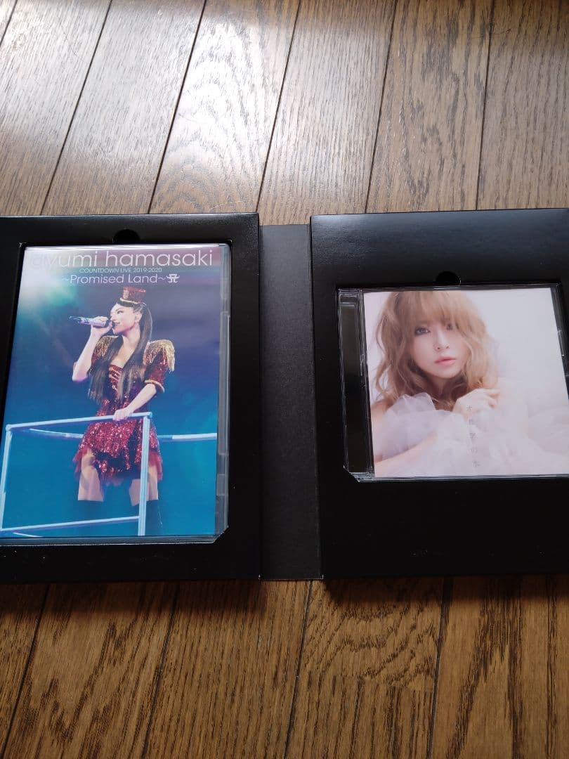 浜崎あゆみ Promised Land TA限定盤　オーロラクリアトートバッグ