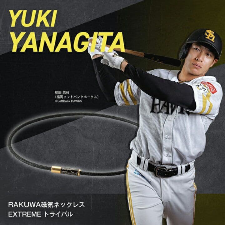 phiten正規品 rakuwaネックトライバル シルバー ５０cm